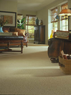 Flooring in Hammonton, NJ 